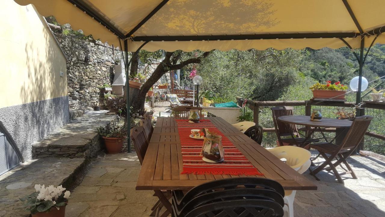 לבנטו Agriturismo I Pipetta מראה חיצוני תמונה