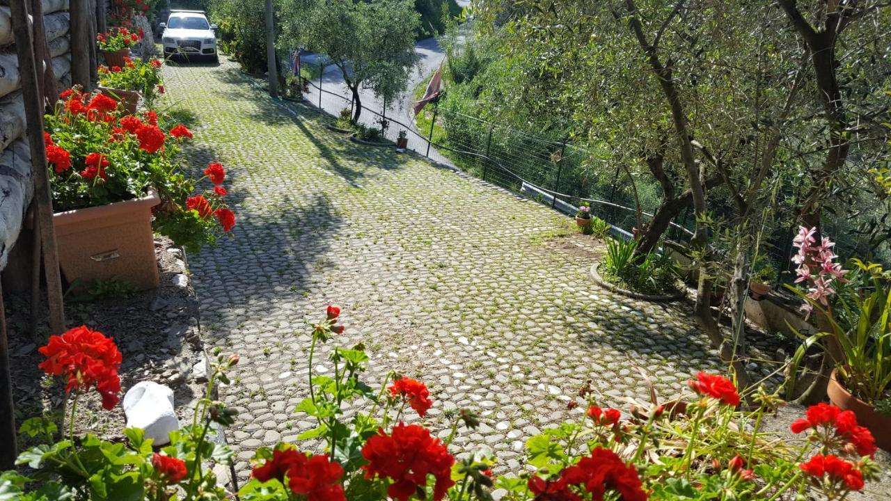 לבנטו Agriturismo I Pipetta מראה חיצוני תמונה
