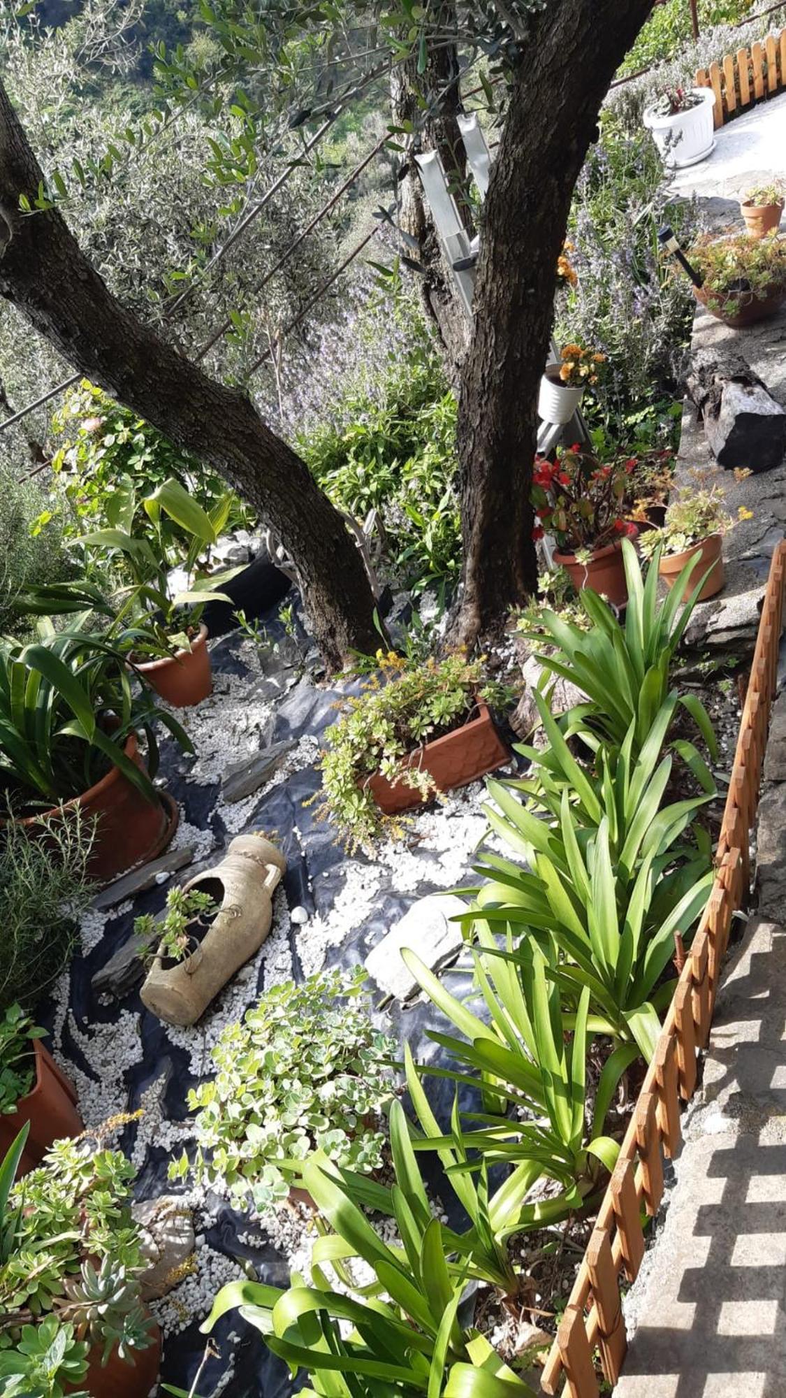 לבנטו Agriturismo I Pipetta מראה חיצוני תמונה